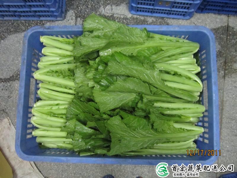 南城食堂蔬菜配送中心
