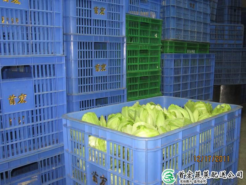 東城有機(jī)蔬菜配送公司