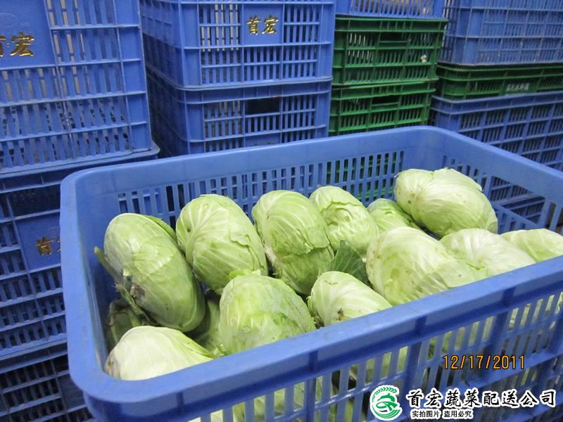 東城食品配送中心