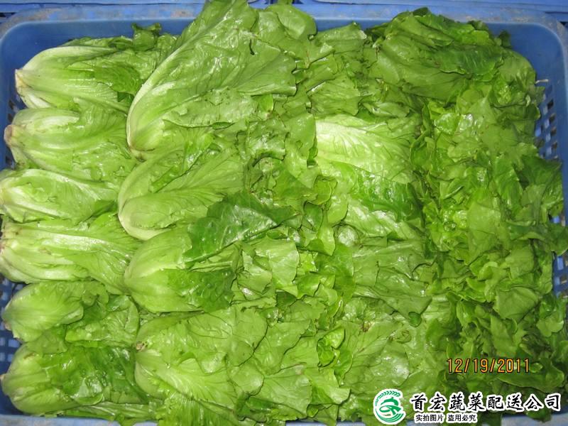 高埗農(nóng)產(chǎn)品配送中心