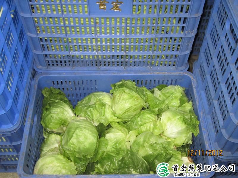 常平 蔬菜配送網