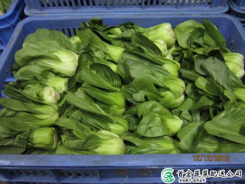 大嶺山蔬菜有限公司