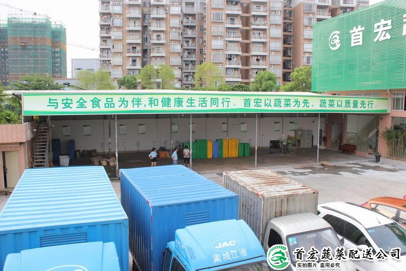 東莞專業蔬菜配送