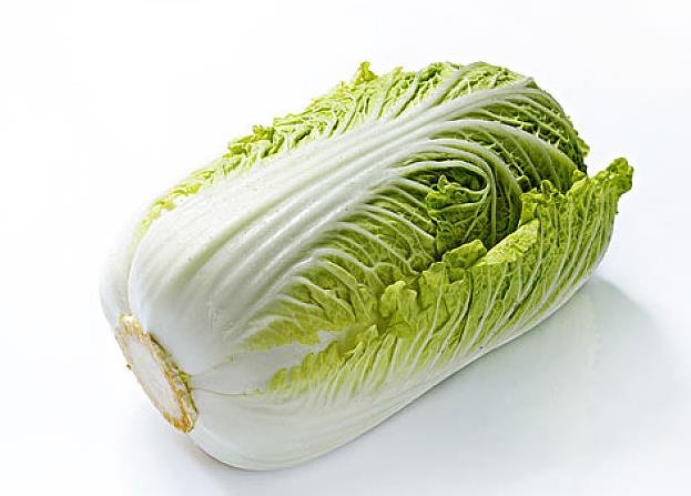 小博蔬菜配送電話