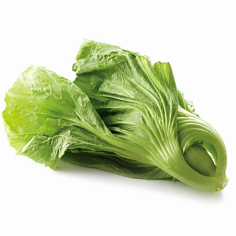 春季常見傳染病預(yù)防知識 學(xué)生防春季傳染病的方法