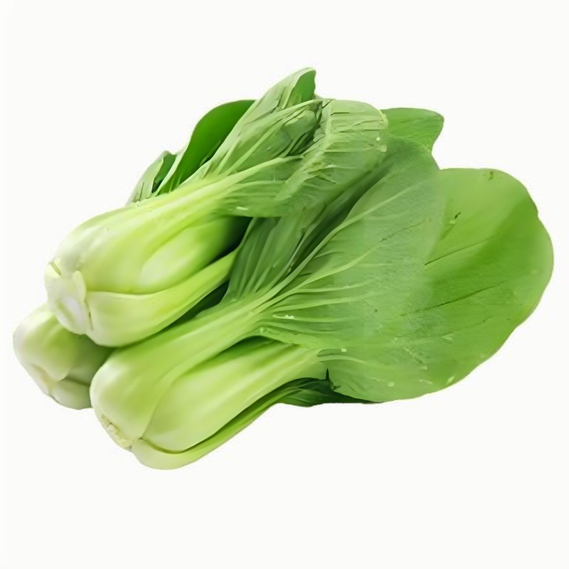 春季寶寶食譜介紹 春季寶寶吃哪些食物好呢